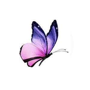 Meet your Posher, Janay